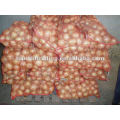 Chinese Red Shallot